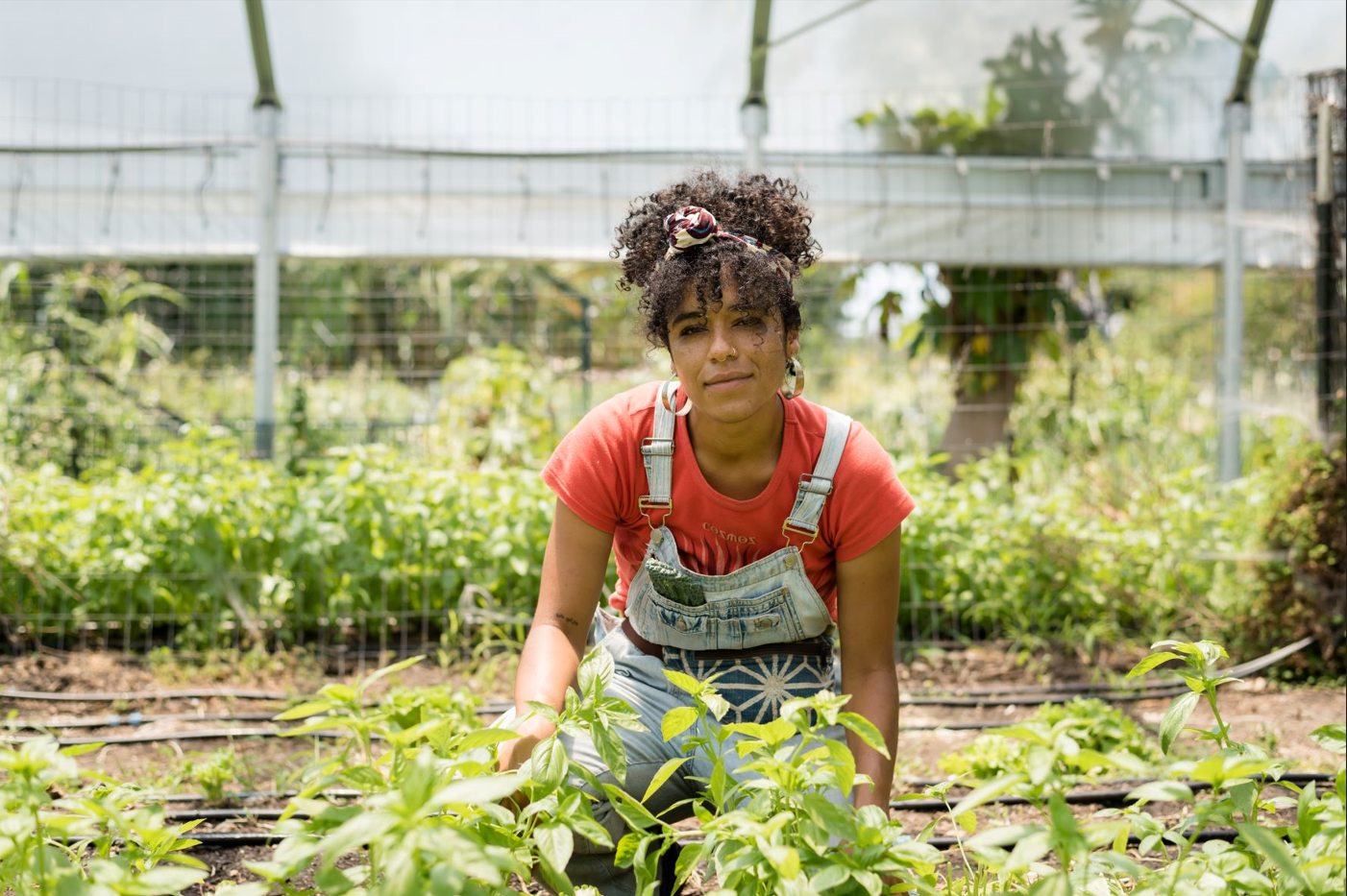 Portrait of a Feed Black Futures member/farmer in a greenhouse