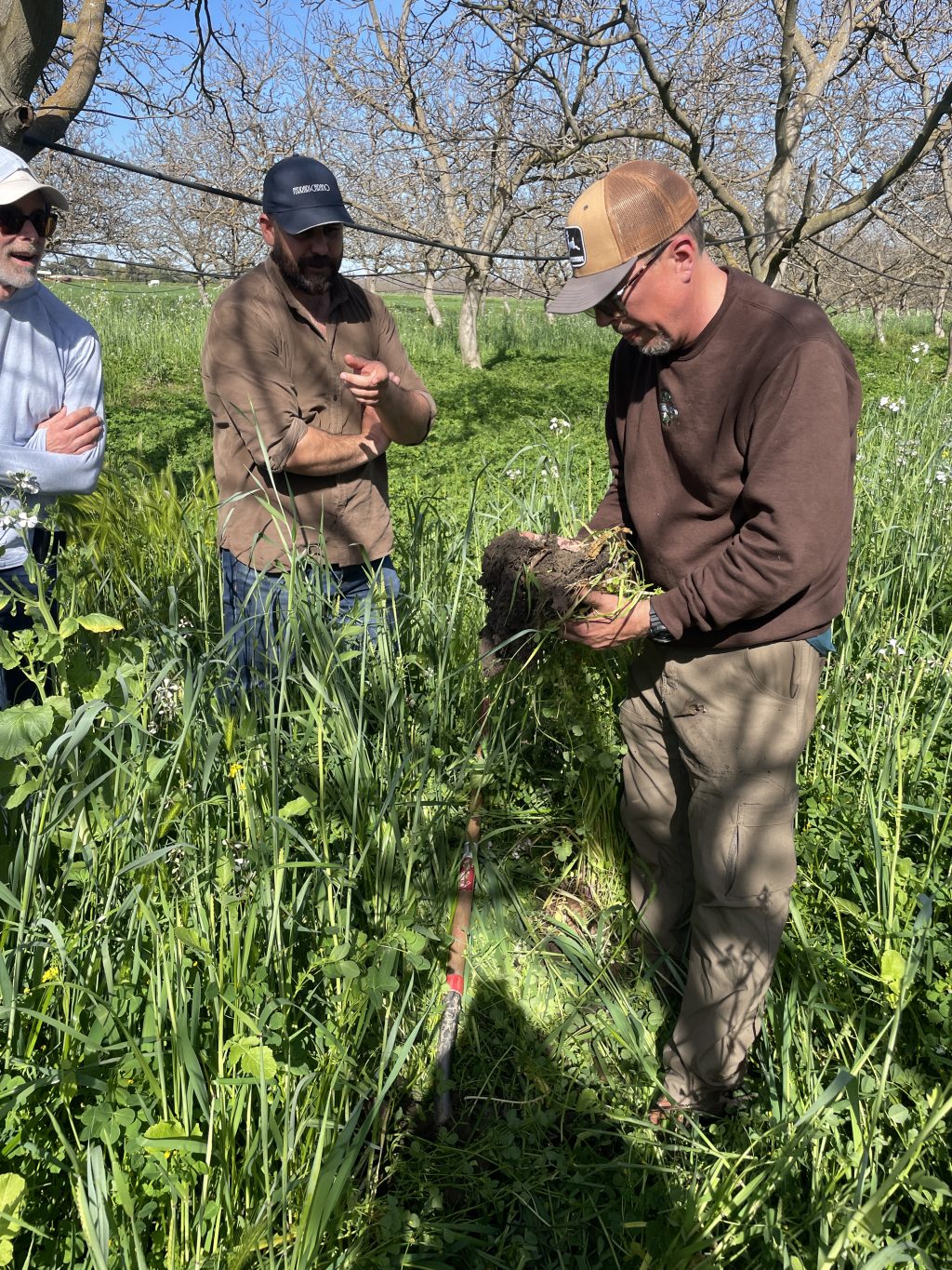Three men gathered together in tall grass with one holding a handful of dirt and roots that were just dug up.