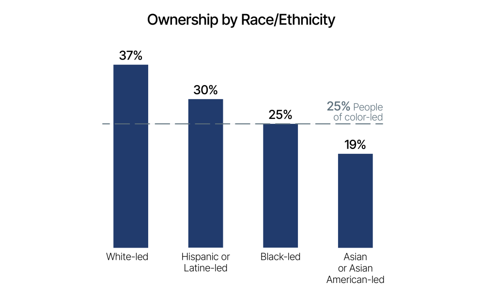 A bar chart showing ownership by race/ethnicity of leadership.