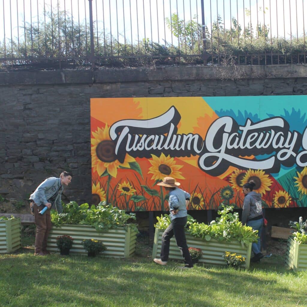 Three people tend to plants in raised garden beds in a community garden. Behind them, a large, colorful mural on a stone wall reads, "Tusculum Gateway Garden," and is decorated with sunflowers.