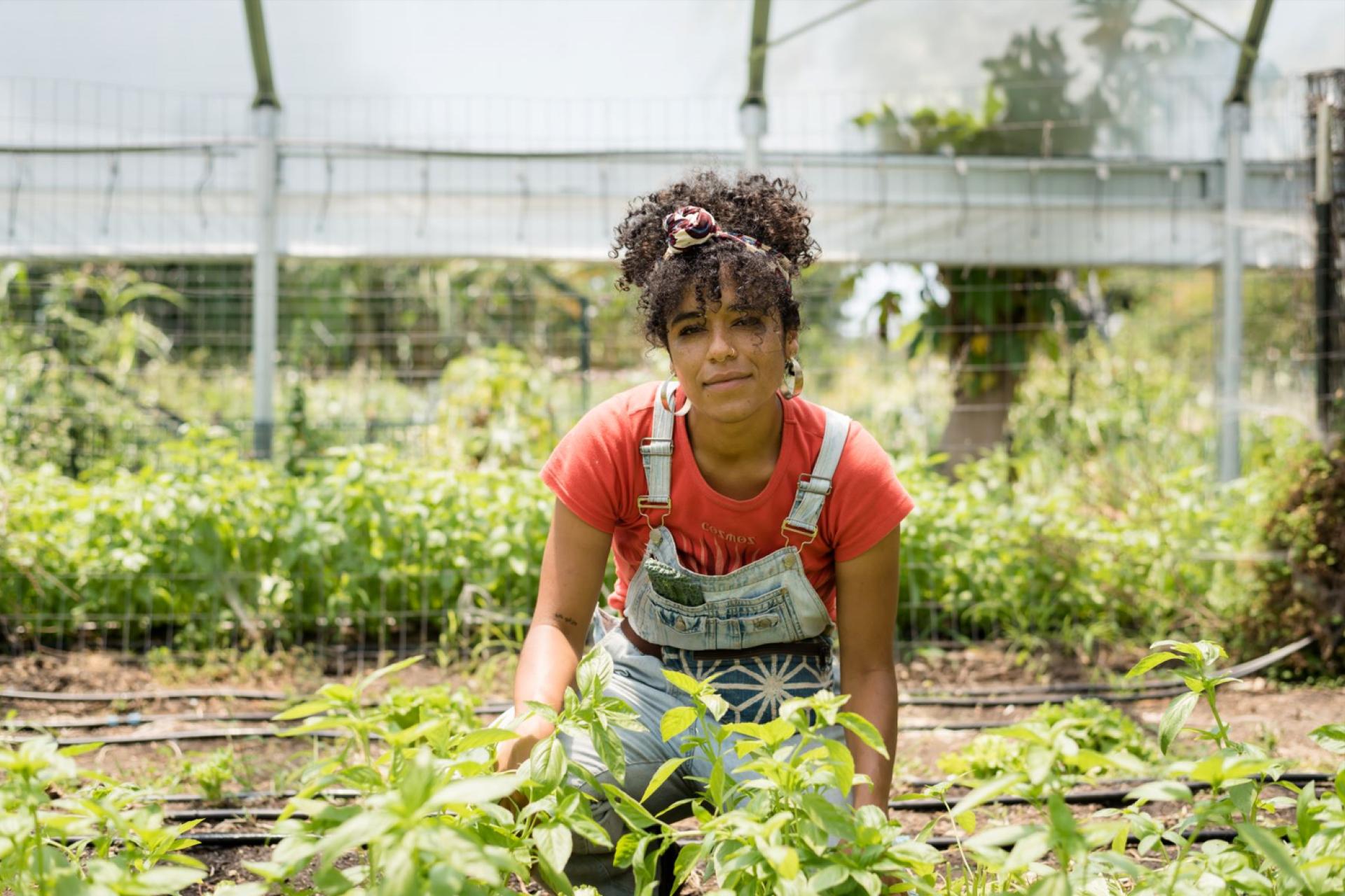 A woman with curly hair, wearing overalls over a red shirt, kneels in a garden and tends to rows of green plants inside a greenhouse.
